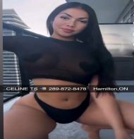 Celine  HAMILTON